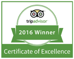 TripAdvisor Excellence Award